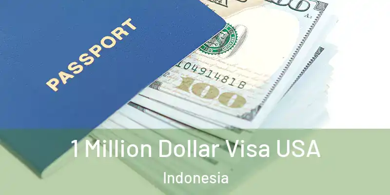  1 Million Dollar Visa USA Indonesia